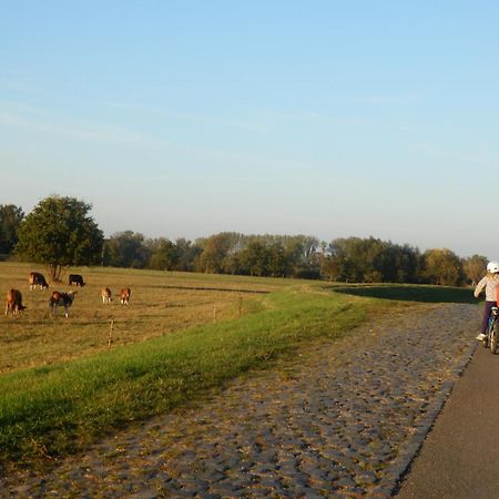 Ferienhof Gruene Kuh Elsteraue 외부 사진